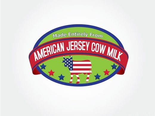 americancow7