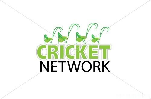 cricket2