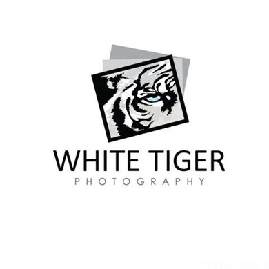 whitetiger2