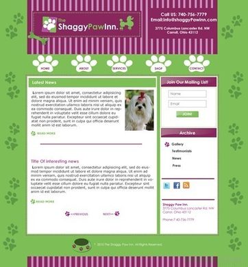 shaggy-paw-in