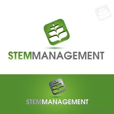 stem-management2