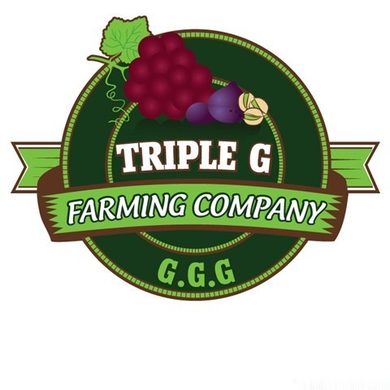 tripple-g